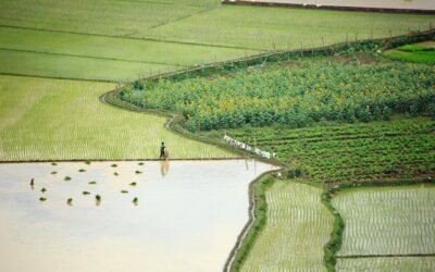 The History of Earth Day