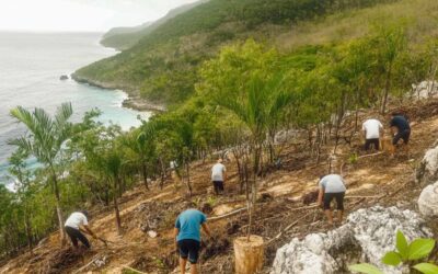 What is Environmental Activism?