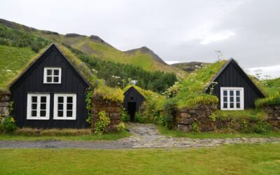 Green Roofs: Benefits, Types, and Installation Guide
