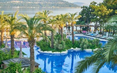 Discover the Beauty and Benefits of Natural Swimming Pools