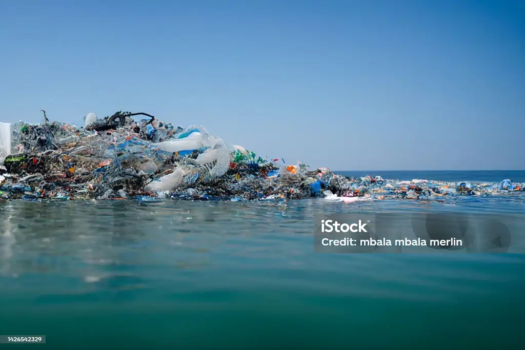 Ocean plastic pollution